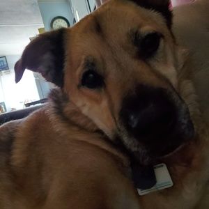 Meet your Posher, Ken